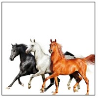 Purchase Lil Nas X & Billy Ray Cyrus - Old Town Road (Diplo Remix) (CDS)