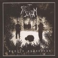 Buy Silent Scream - Public Execution Mp3 Download