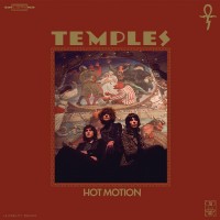 Purchase Temples - Hot Motion
