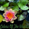 Buy Yakuro - Colors Of The Worlds Mp3 Download