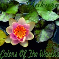 Purchase Yakuro - Colors Of The Worlds