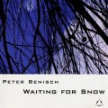 Buy Peter Benisch - Waiting For Snow Mp3 Download