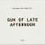 Buy Sigtryggur Berg Sigmarsson - Sun Of Late Afternoon Mp3 Download