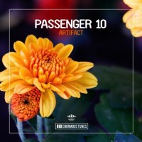 Purchase Passenger 10 - Artifact (CDS)