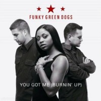 Purchase Funky Green Dogs - You Got Me (Burnin' Up)