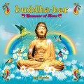 Buy VA - Buddha-Bar Summer Of Love (By Ravin) CD1 Mp3 Download