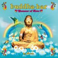 Buy VA - Buddha-Bar Summer Of Love (By Ravin) CD2 Mp3 Download