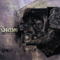 Purchase Sanction - Broken in Refraction