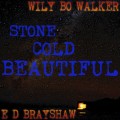 Buy Wily Bo Walker - Stone Cold Beautiful Mp3 Download