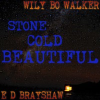 Purchase Wily Bo Walker - Stone Cold Beautiful