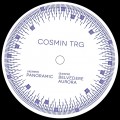 Buy Cosmin Trg - Panoramic Mp3 Download