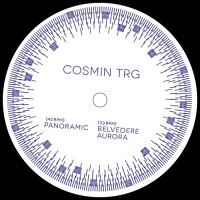 Purchase Cosmin Trg - Panoramic