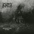 Buy Agnosy - When Daylight Reveals The Torture Mp3 Download