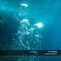 Purchase Cygna - Opus Ena