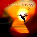 Buy Peter Kater - Wings Mp3 Download