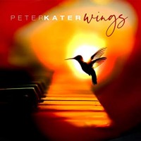Purchase Peter Kater - Wings