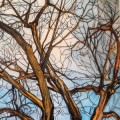 Buy We Are Kin - Bruised Sky Mp3 Download