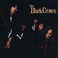 Purchase The Black Crowes - Live - 2005-2010 Vol. 1 CD1