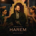 Buy Edward Maya - Harem (CDS) Mp3 Download