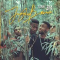 Buy Jungle Brown - Flight 314 Mp3 Download