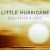 Buy Little Hurricane - Gold Fever B-Sides (EP) Mp3 Download
