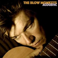 Purchase The Blow Monkeys - Acoustic