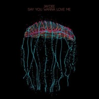 Purchase Jaydee - Say You Wanna Love Me (EP)