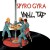 Buy Spyro Gyra - Vinyl Tap Mp3 Download