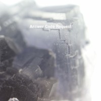 Purchase Answer Code Request - Neume (EP)