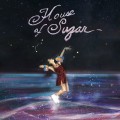Buy (Sandy) Alex G - House Of Sugar Mp3 Download