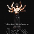 Buy Infected Mushroom - The Doors Remixed CD1 Mp3 Download