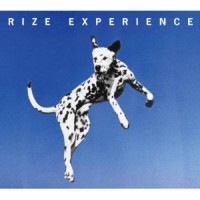Purchase Rize - Experience