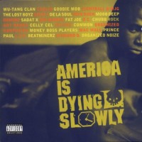 Purchase VA - America Is Dying Slowly (By Hillside)