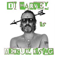 Purchase Dj Harvey - Dj Harvey Is The Sound Of Mercury Rising Vol II