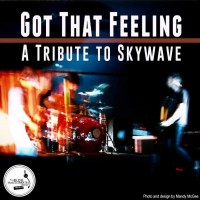 Purchase Skywave - Got That Feeling (VLS)