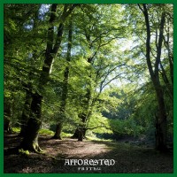 Purchase Afforested - Frithu