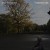 Buy Jake Houlsby - Vondelpark (EP) Mp3 Download