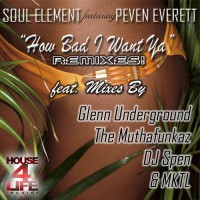 Purchase Soul Element - How Bad I Want Ya (The Remixes)