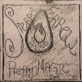 Buy Sierra Ferrell - Pretty Magic Spell Mp3 Download