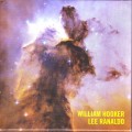 Buy William Hooker & Lee Ranaldo - The Celestial Answer Mp3 Download