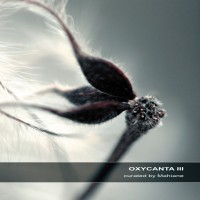 Purchase VA - Mihiane - Oxycanta III