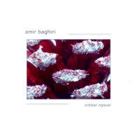 Purchase Amir Baghiri - Orbital Repose
