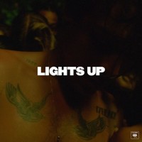 Purchase Harry Styles - Lights Up (CDS)