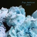 Buy VA - Pop Ambient 2018 Mp3 Download