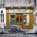 Buy Pet Shark - Le Debut Mp3 Download