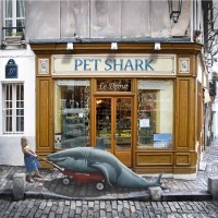 Purchase Pet Shark - Le Debut