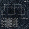 Buy Synkro - Hand In Hand Mp3 Download