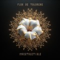 Buy Flor De Toloache - Indestructible Mp3 Download