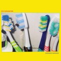 Buy The Paranoyds - Carnage Bargain Mp3 Download