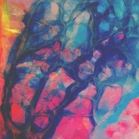 Purchase Slenderbodies - Sotto Voce